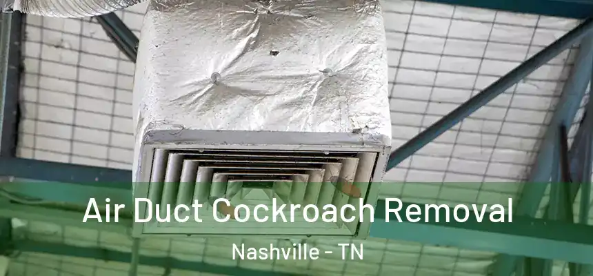 Air Duct Cockroach Removal Nashville - TN