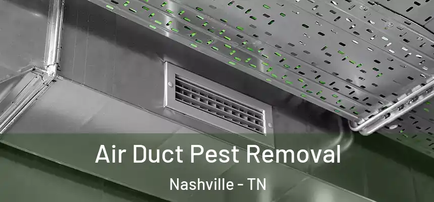 Air Duct Pest Removal Nashville - TN