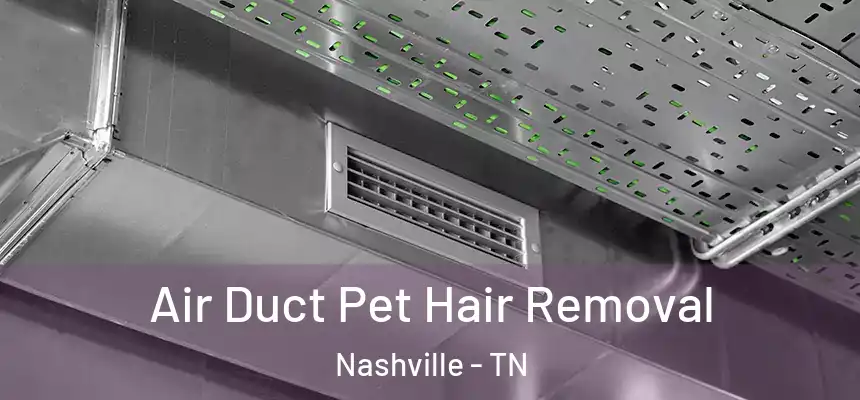 Air Duct Pet Hair Removal Nashville - TN