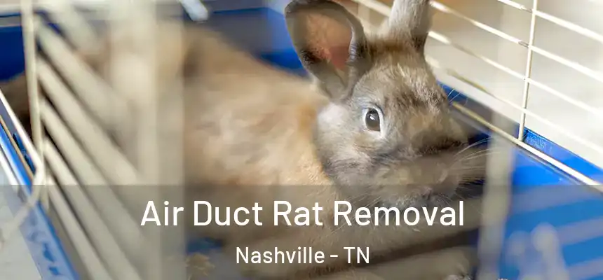 Air Duct Rat Removal Nashville - TN
