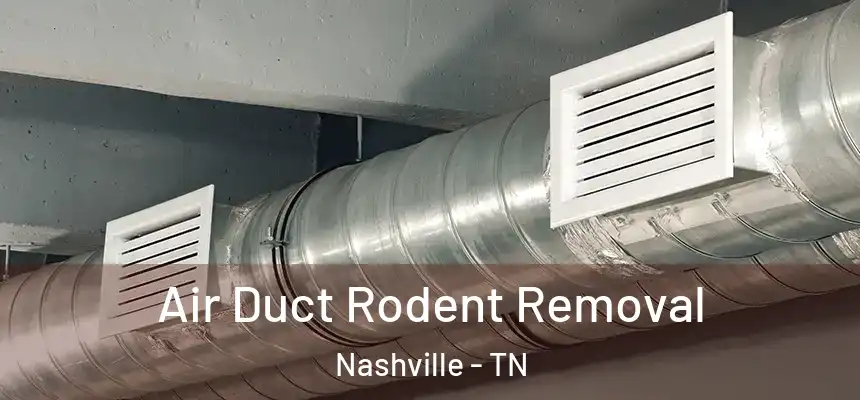 Air Duct Rodent Removal Nashville - TN