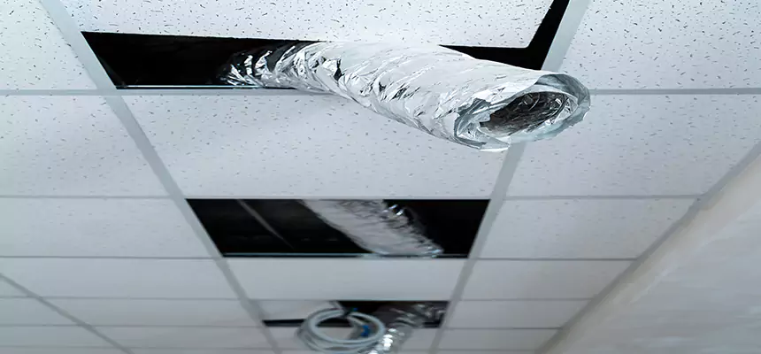 Our Air Duct Pet Hair Removal Services in Nashville, TN