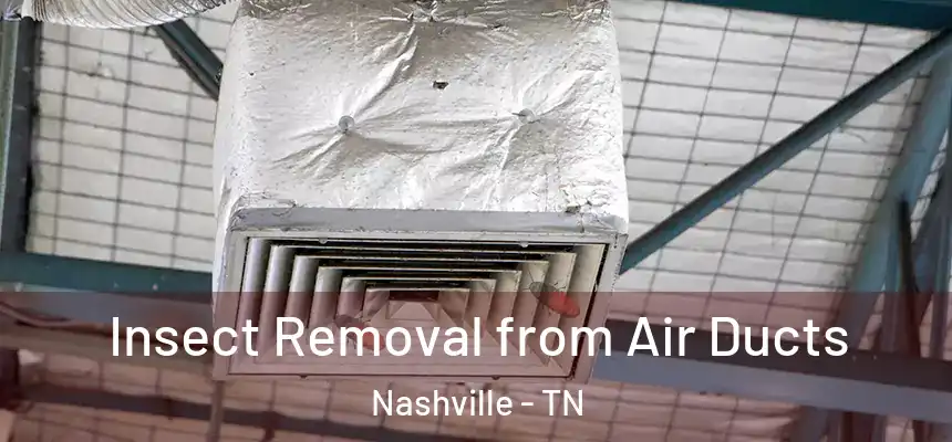 Insect Removal from Air Ducts Nashville - TN