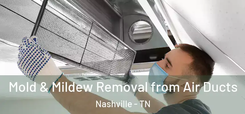 Mold & Mildew Removal from Air Ducts Nashville - TN