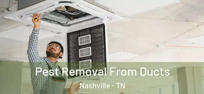 Pest Removal From Ducts Nashville - TN
