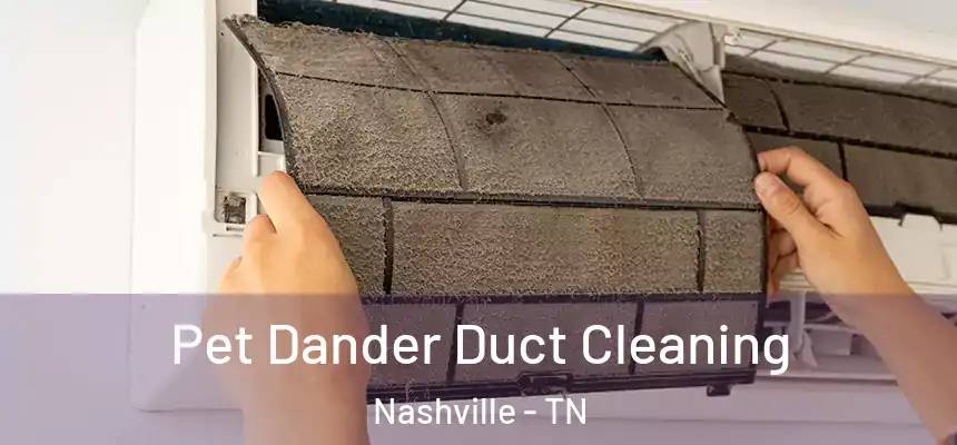 Pet Dander Duct Cleaning Nashville - TN