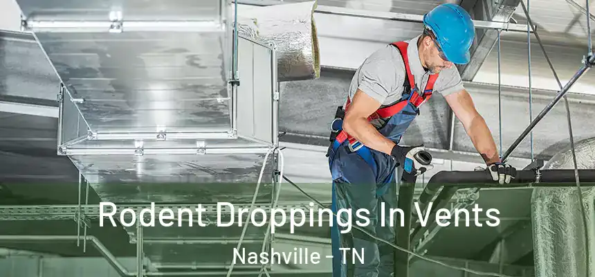 Rodent Droppings In Vents Nashville - TN