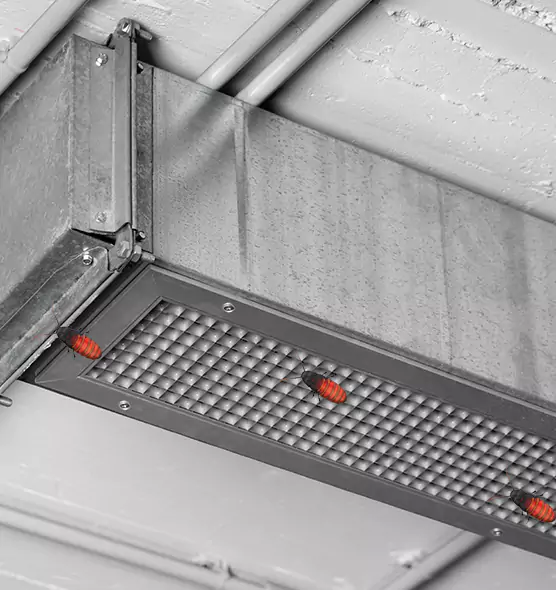 About Air Duct Cockroach Removal in Nashville, TN