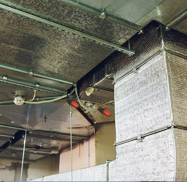 Why Homeowners & Businesses Trust Us in Nashville, TN?