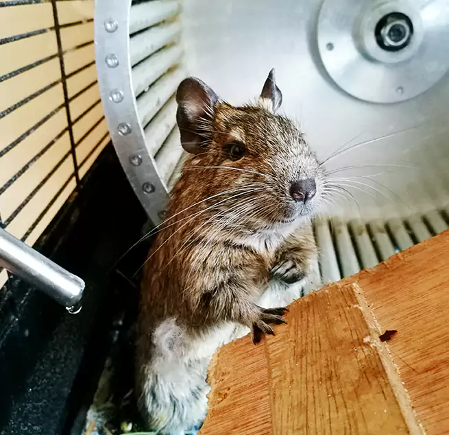 Why Homeowners & Businesses Trust Us Nashville, TN