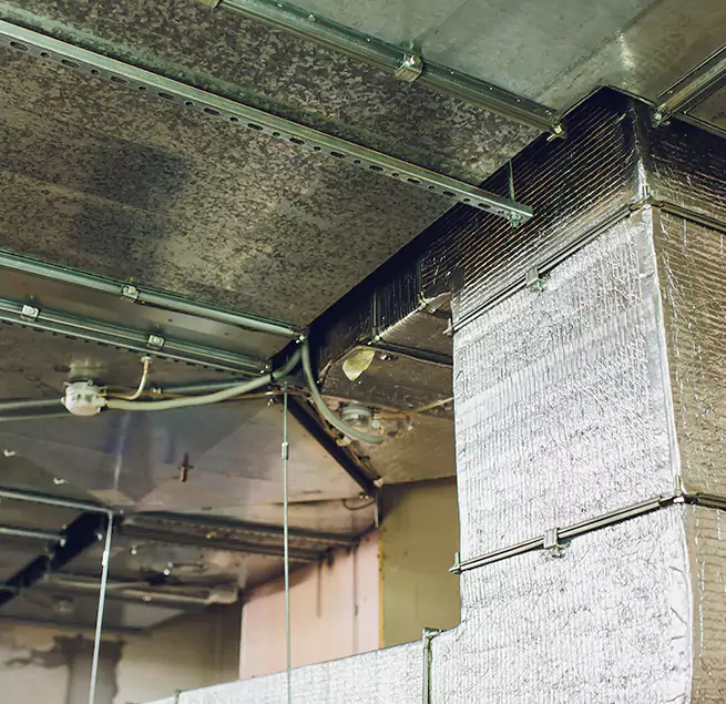 Why Homeowners & Businesses Trust Us in Nashville, TN?